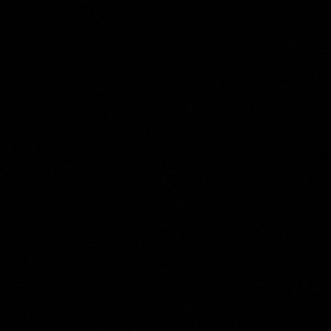 Meet your Posher, Joshua